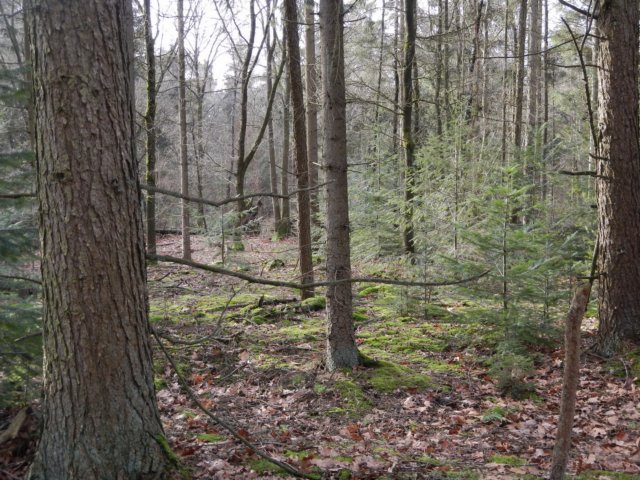 NWK 2012 025.jpg